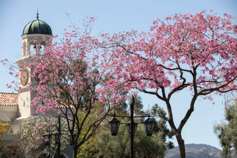 Vibrant springtime view of downtown Thousand Oaks, showcasing our expert concrete contractors in Thousand Oaks who specialize in custom patio installation and driveway construction.