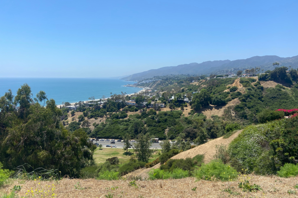 Image showcasing a stunning view of Pacific Palisades where concrete contractors are located.